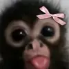 ᒐᥲɩꙆᥲ ຕᥲɾɩᥱ - @laila._.cook - TikTok