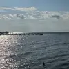 Layla Dotson - @ellaynah3 - TikTok