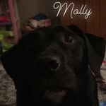 Laila Green - @9273green - Instagram