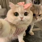 Laila Hamada - Facebook