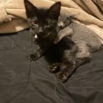 Laila Harrell - Facebook