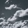 Leila Hebert - @3lite_lei - TikTok