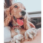 Laila - @_laila.hoffmann - Instagram