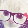 Layla Hoffman - @i.luv_laylaaaa00 - TikTok