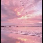 Mia Herz - @lailahowen - Instagram