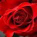 Laila Ismail - Facebook