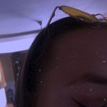 Laila Jacobs - @prv._laila - Instagram