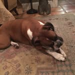 Laila - @laila_key_west - Instagram
