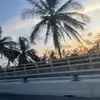 Laila King - @laila.king39 - TikTok