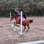 Laila Langner - @laila.langner - Instagram