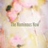 lailalyons333 - @numinousnow - TikTok