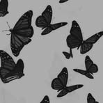 Laila Marks - Facebook