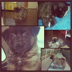 Laila - @lailapatrickia - Instagram