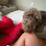 layla.pearson - @layla_k_pearson - Instagram