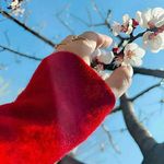 Laila Ram - @laila.ram.56 - Instagram