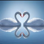 Laila & Ryan - @coup1e0fg0als - Instagram