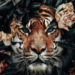 laila ryan - @laila442233 - Instagram