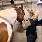 Ganzheitliche Pferdephysiotherapie Laila Schmidt - Facebook