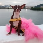 Laila Serrano L. de Guevara - @princesalaila_19 - Instagram