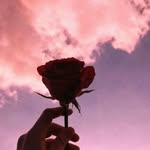 Laila Suarez - @laila.suarez.52438 - Instagram