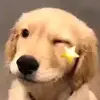 Lilah Todd - @lilah.todd - TikTok