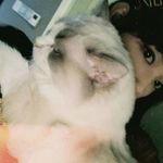 Laila Wang - @laila_wang_ - Instagram