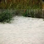 Laila Ware - @lailaware - Instagram