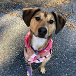 Layla Warner - @laylamcgoo - Instagram