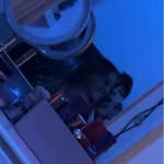 Laila Webster - @laila.w123 - Instagram