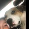 Layla Weeks - @cheer_layla24 - TikTok