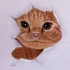 user5938270728350 - @lailawehbe1 - TikTok