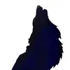 †† Laila wolf †† - @laila_wolfi - TikTok