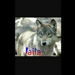 💬LAILA❤CARLY❤CREDDY💬GIMMY - @_laila.wolf.lupi_ - Instagram
