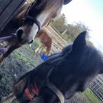 Laila Wright - @lailamae12345 - Instagram