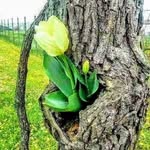 Lailing Chan - @lailingchan2 - Instagram