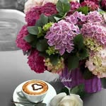 Lailing Chan - @lailing44 - Instagram