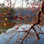 Laina - @lainahillin - Instagram