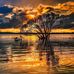 Laine Smith - Facebook