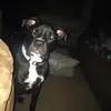 laineygriffin11609 - @laineygriffin1160 - TikTok