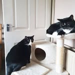 Elaine Morrison - @morrisonelaine - Instagram