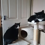 Elaine Morrison - @elaine.morrison.7906 - Instagram