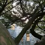 Elaine Morrison - @elaine.morrison.52493 - Instagram
