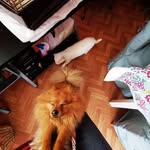 Elaine Poole - @elaine.poole.3781 - Instagram