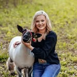 lainey williams - @lainey_38 - Instagram