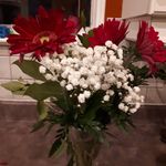 Lainie Taylor-Ryan - @lainietry - Instagram