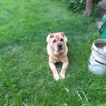 Lajos Molnar - @lajos.molnar.712161 - Instagram