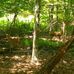 Lake Greene Trail - Facebook