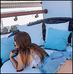 Lakeisha Lambert - Facebook
