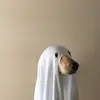ŁĄĶƏĮ§HĄ - @_lakeisha.moon_ - TikTok