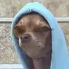 keishathacoco405 - @lakeishapatton405 - TikTok